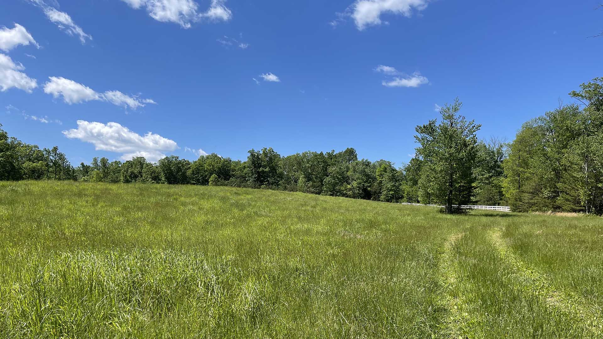 Dudley Mountain Road Land for Sale in Albemarle County Virginia