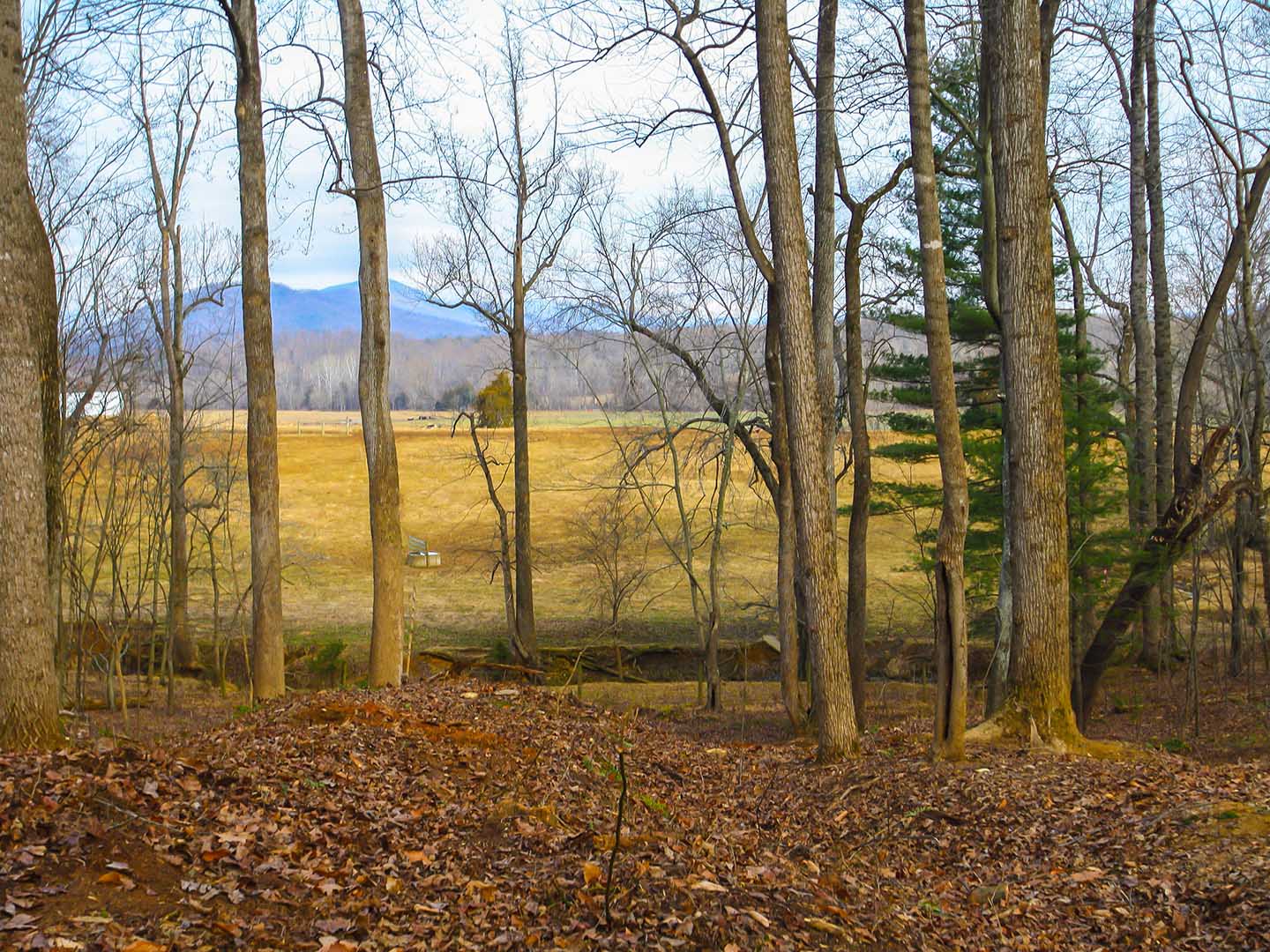 Dundee Farm In Virginia for Sale