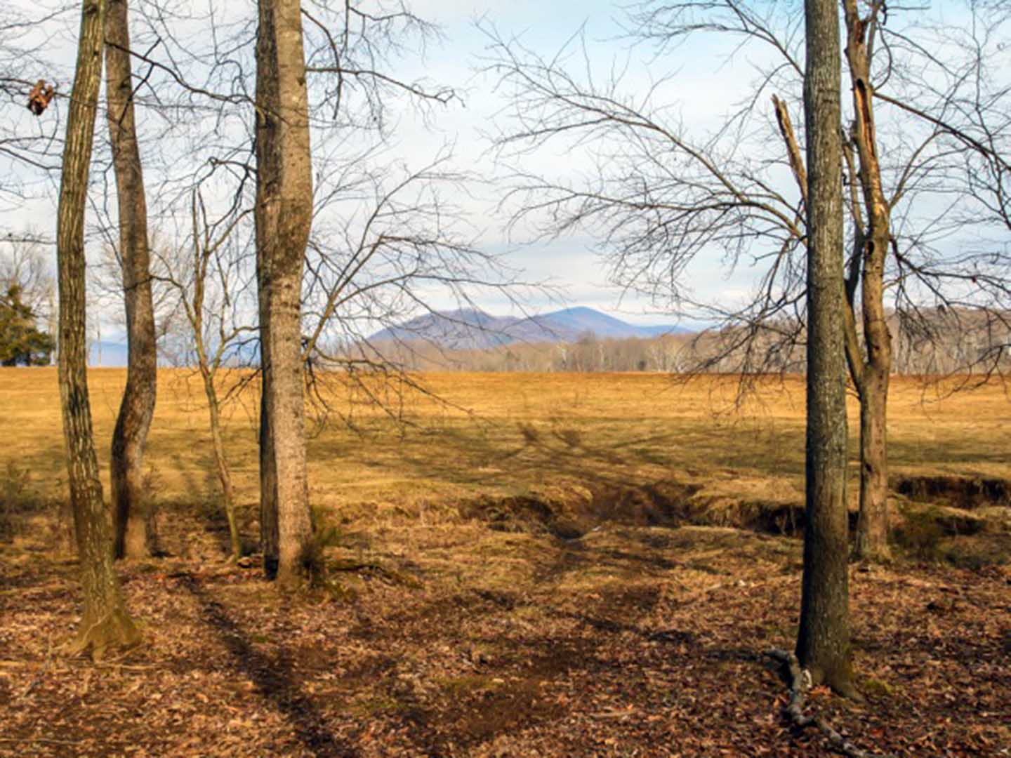 Dundee Farm In Virginia for Sale