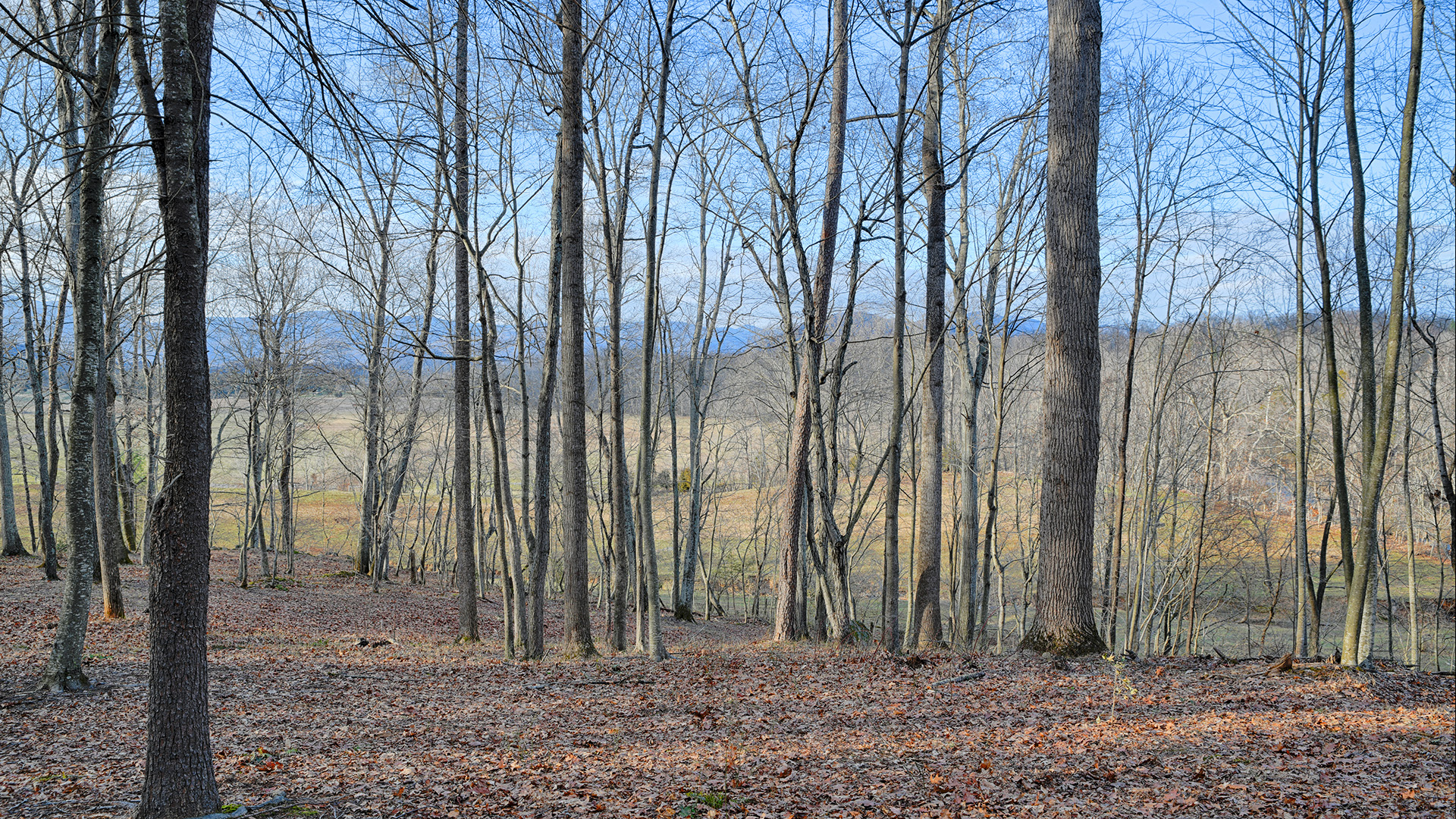 Land for sale in Greene County Va