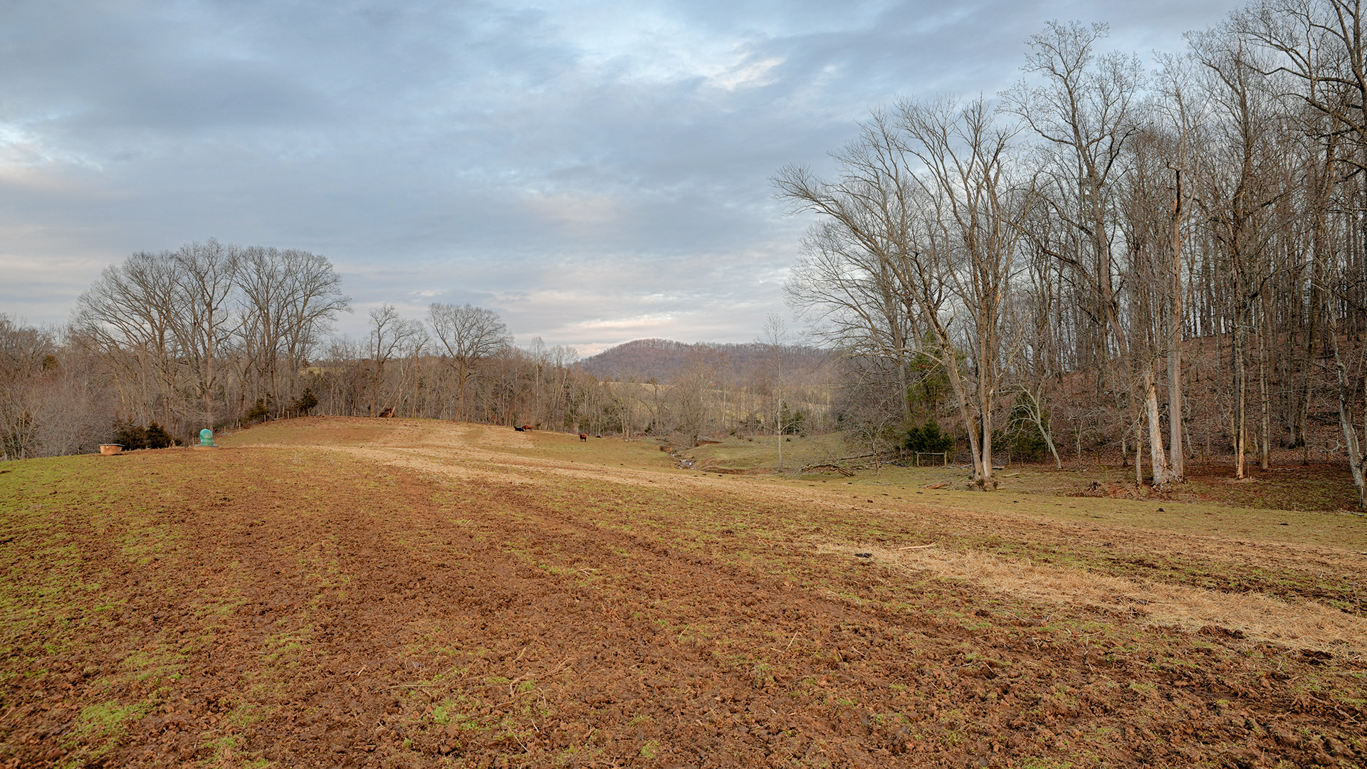 Land for sale in Greene County Va