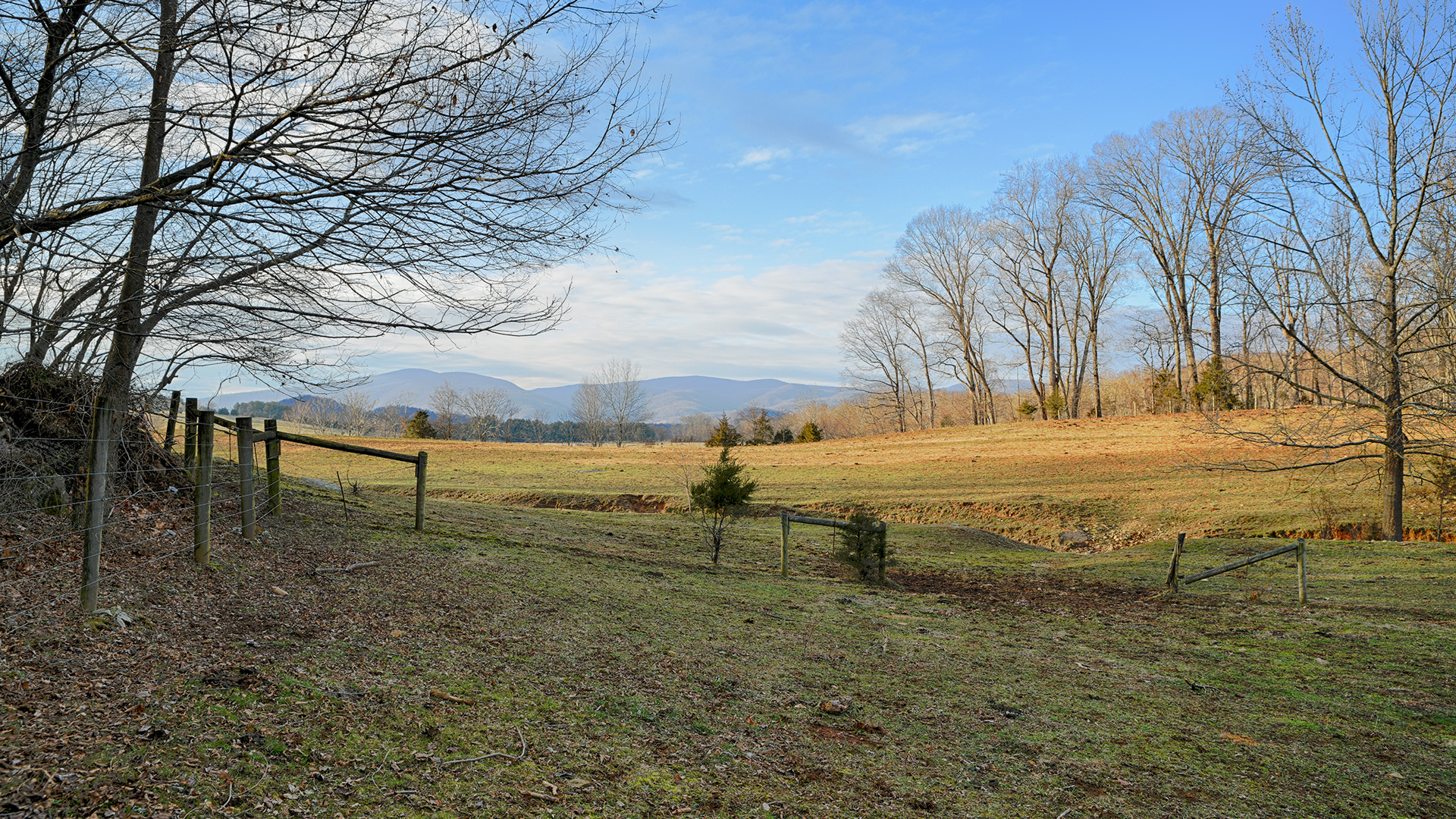 Land for sale in Greene County Va