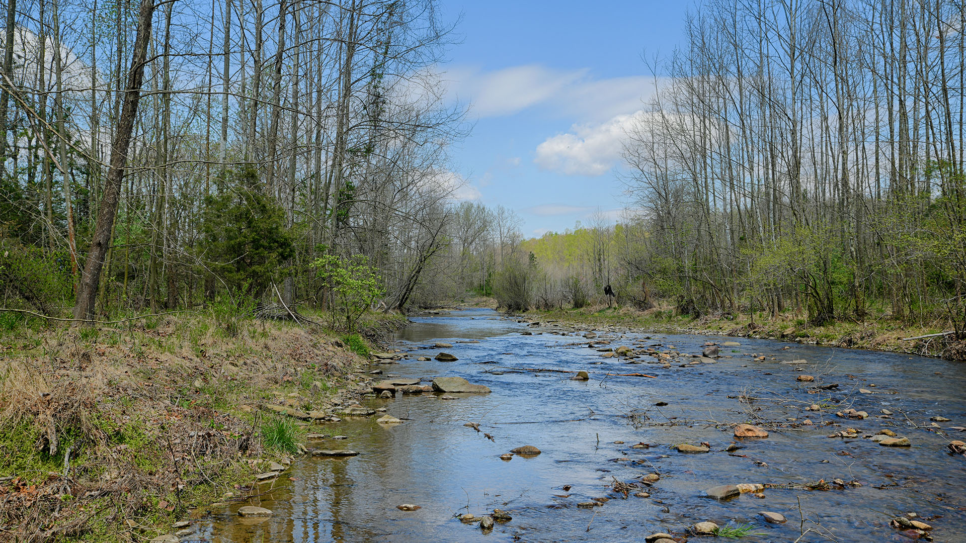 Land for sale in Greene County Va