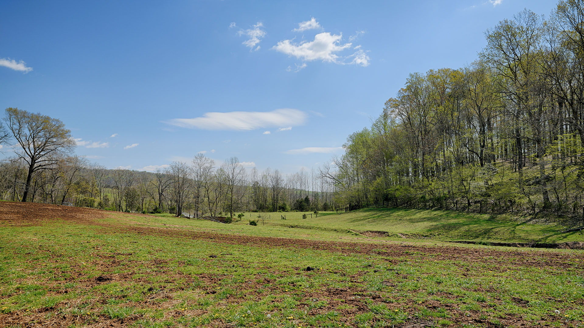 Land for sale in Greene County Va