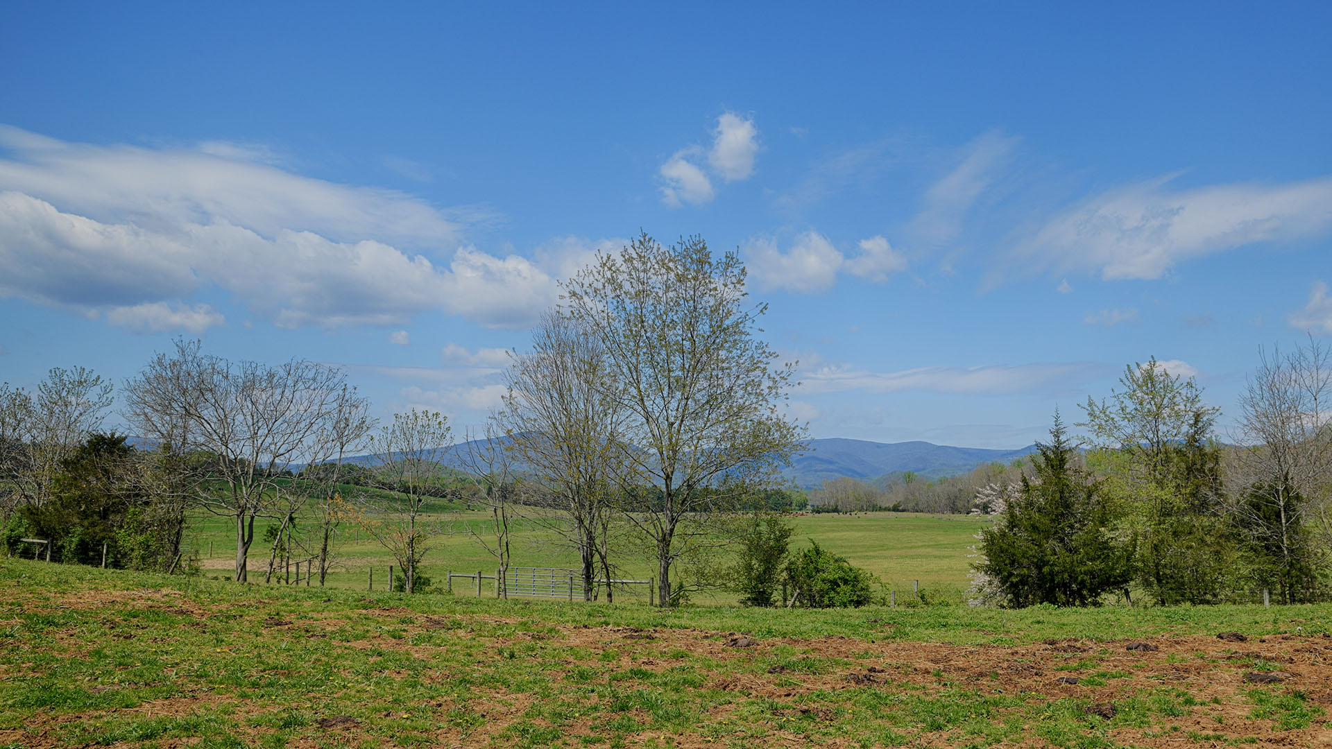 Land for sale in Greene County Va