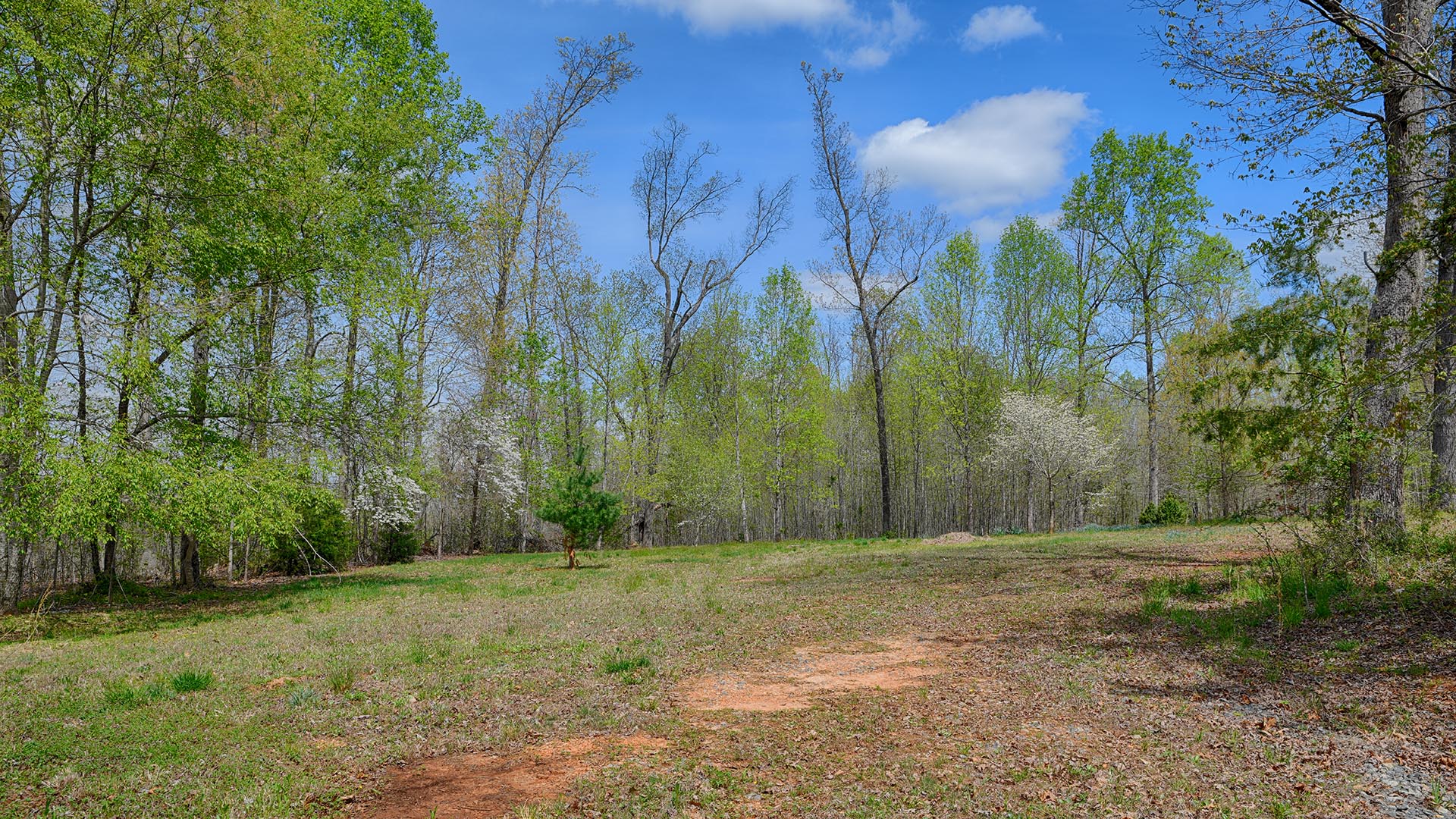 614 Plain Dealing Road Land for Sale in Fluvanna County Virginia