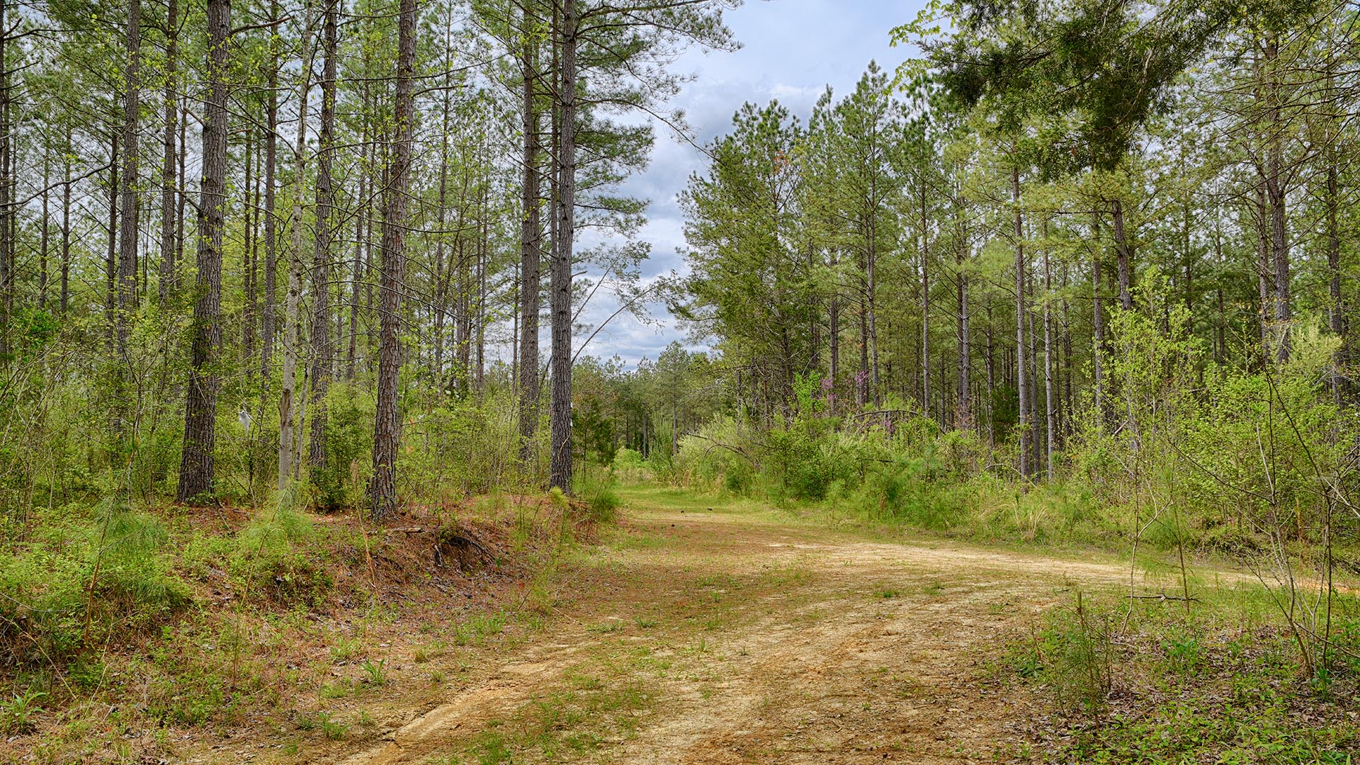614 Plain Dealing Road Land for Sale in Fluvanna County Virginia