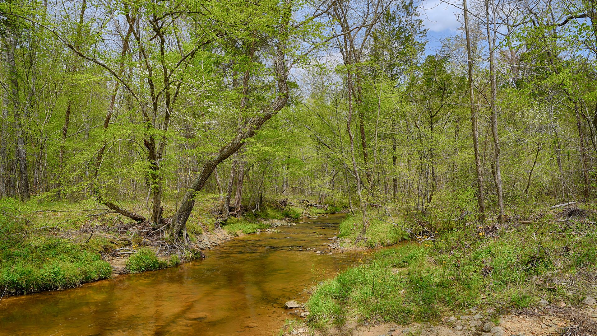 614 Plain Dealing Road Land for Sale in Fluvanna County Virginia