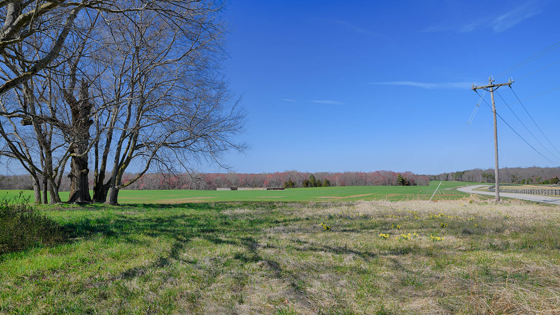 Land for Sale in Goochland County, Virginia