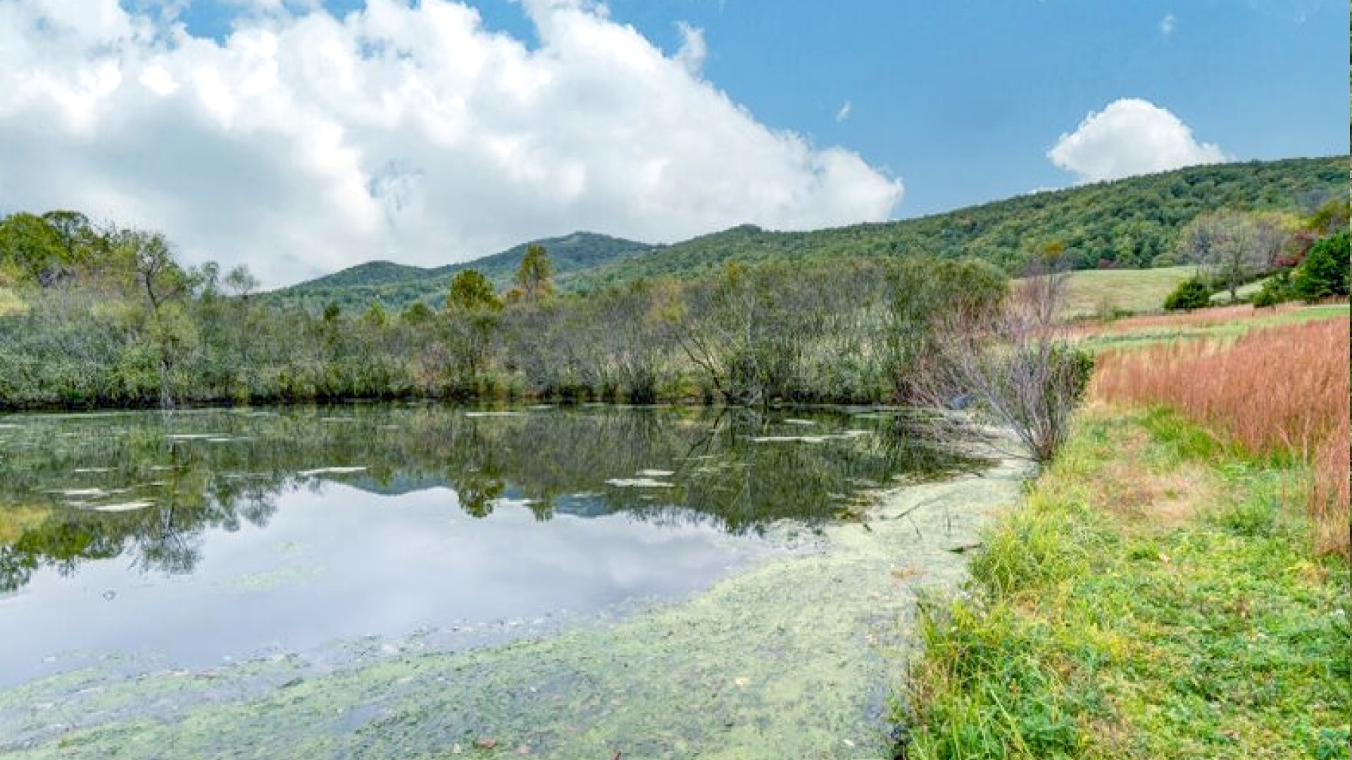  Nelson County VA Historic Home for Sale