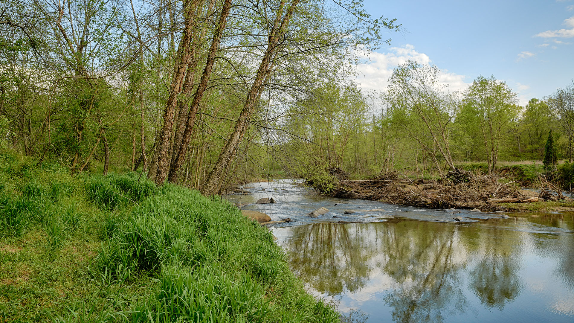 Land for Sale in Madison County, Virginia