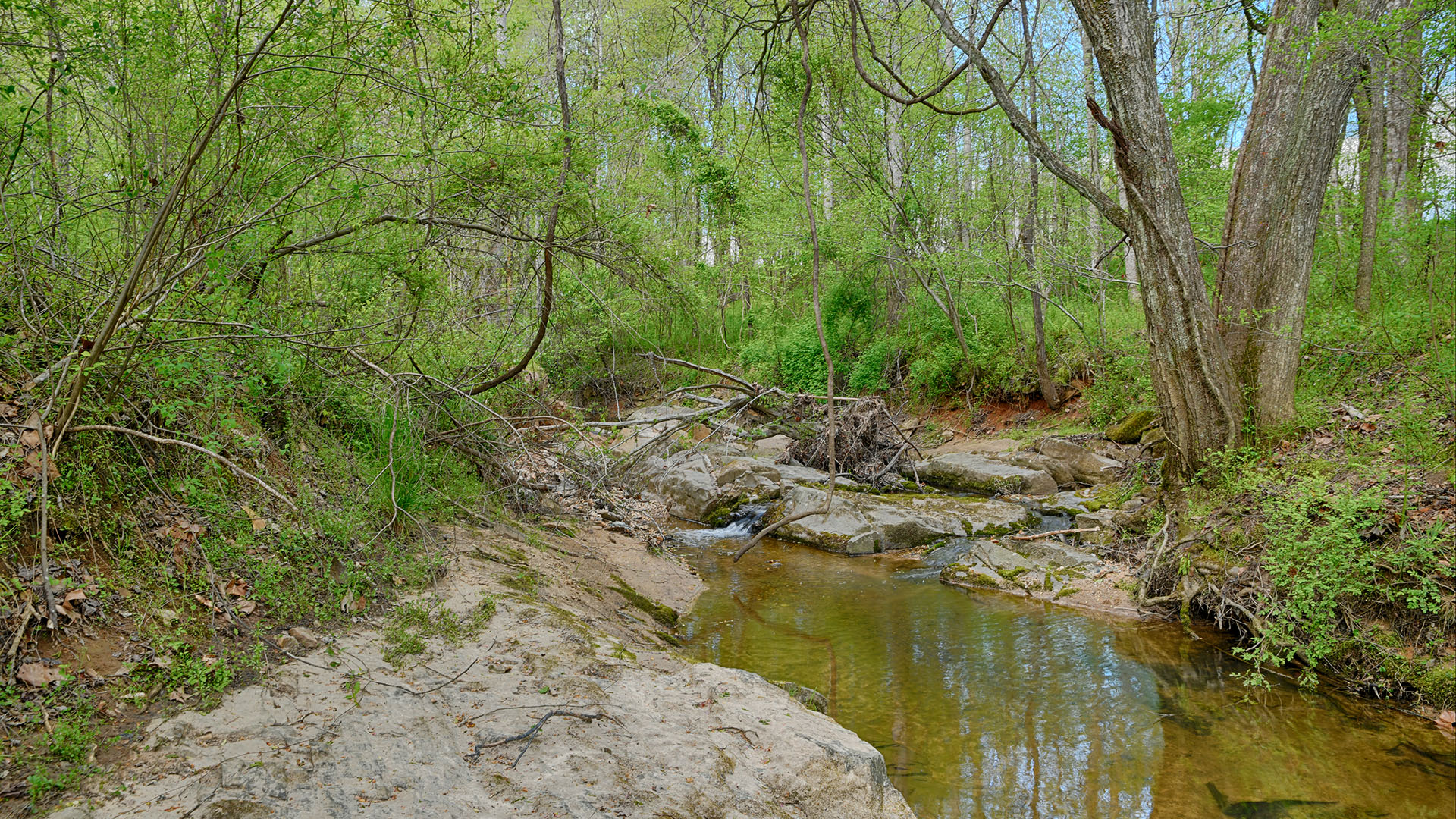 Wilhoits Lane Land for Sale in Madison County Virginia