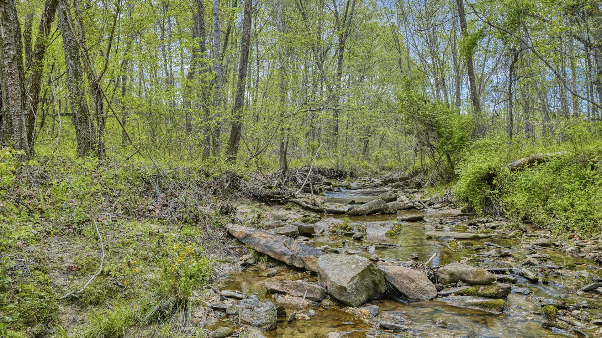 Wilhoits Lane Land for Sale in Madison County Virginia